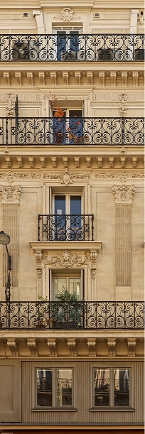 Diagnostiqueur certifié Phenix Diagnostics réalisant un contrôle immobilier à Nancy